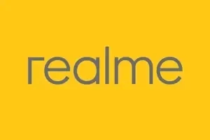 Realme 10 Pro Plus RMX3686 Network File